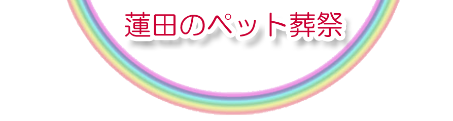 蓮田エリアでのペット火葬をご紹介します。