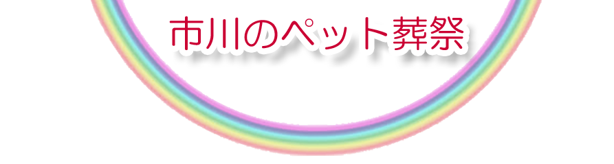市川エリアでのペット火葬をご紹介します。
