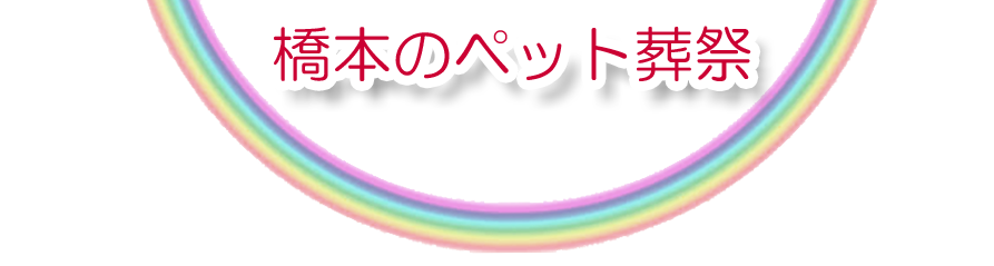 橋本エリアでのペット火葬をご紹介します。