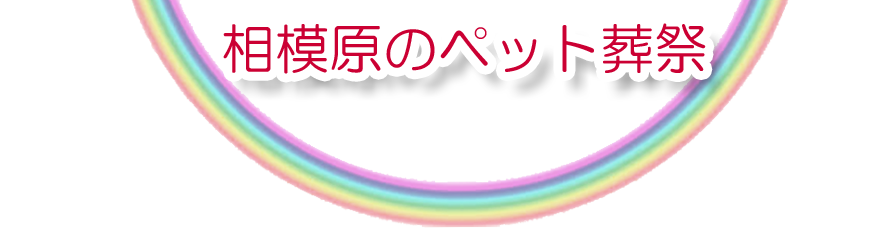 相模原エリアでのペット火葬をご紹介します。